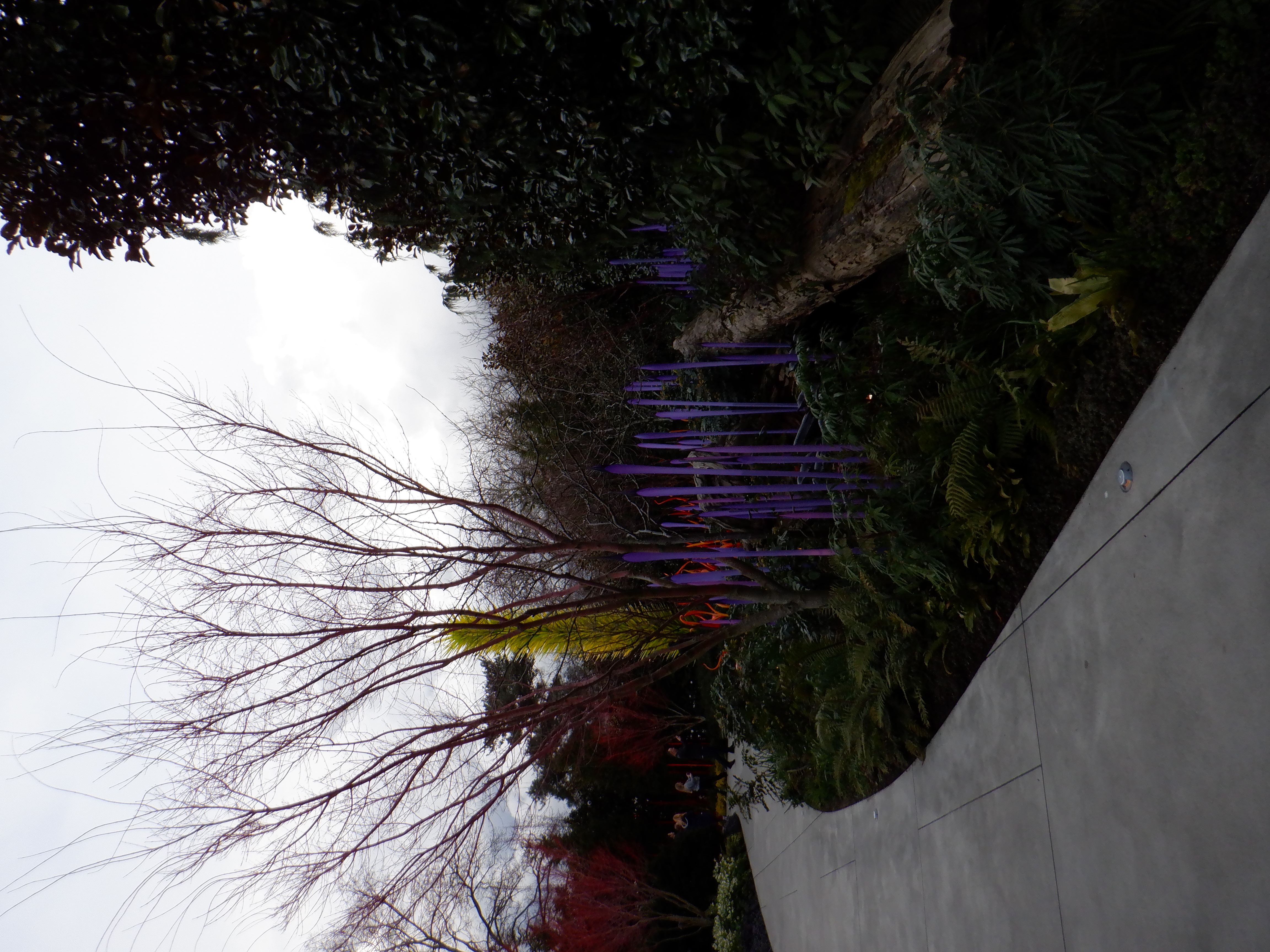 ./2020/03 - Seattle/DSCF1254.JPG